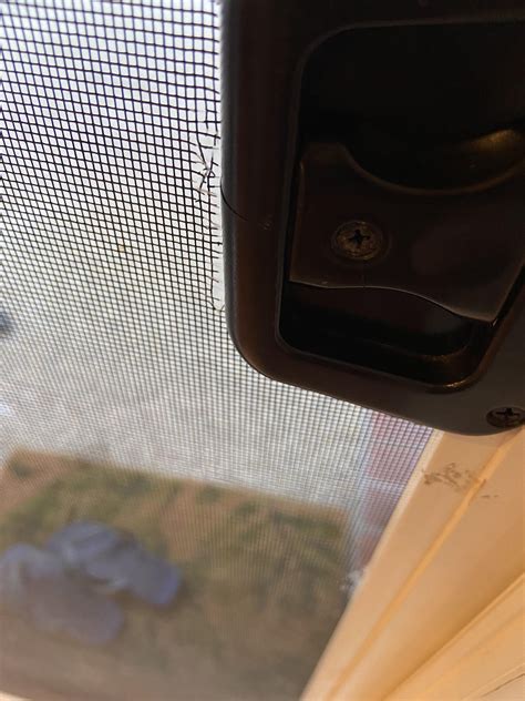 Discover more like Home: Screen door tearing. Is there a way to fix it