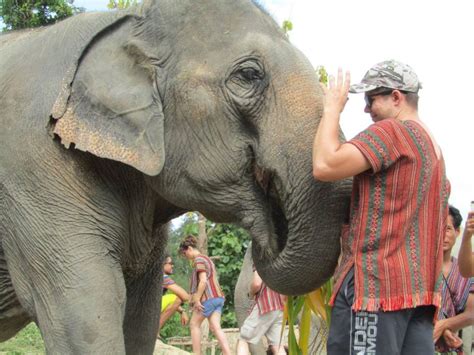 Phuket: Ethical Elephant Sanctuary Interactive Tour - Phuket.Net