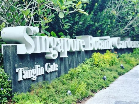 Wisata Ikonik Di Singapura Wajib Masuk Bucket List Liburan