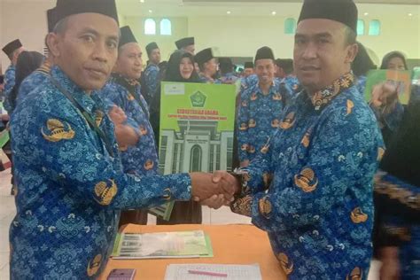 Info Terbaru Pengumuman Optimalisasi Pppk Teknis Dari Bkn Cek