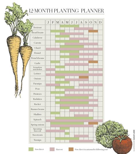 Printable Veg Planting Calendar Chloe Sigrid