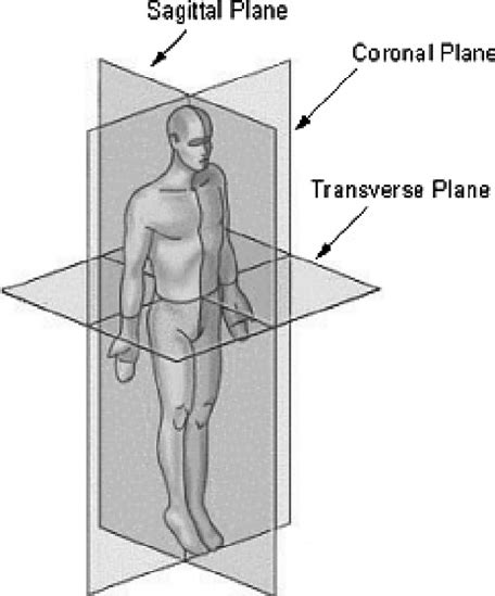 Definitions Of The Three Orthogonal Planes