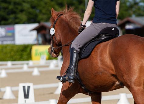 saddle insight