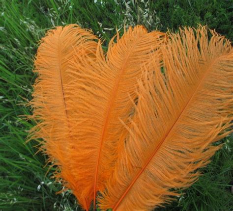 Venta Al Por Mayor 10 Unids Lote De Plumas De Avestruz Naranja Hermosas