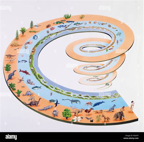 Evolution Of Flora And Fauna Throughout The Geologic Time Scales