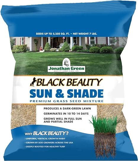 Jonathan Green 12005 Black Beauty Sun And Shade Grass Seed Cool Season Lawn Seed