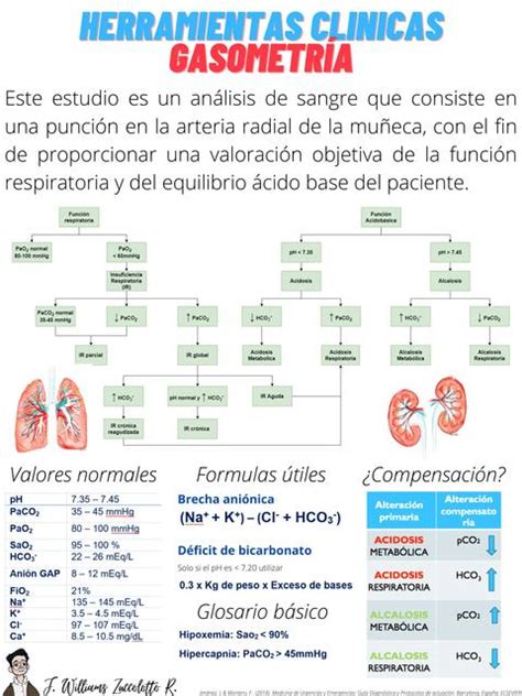 Interpretación de Gasometría Arterial José Williams Zuccolotto Ramón