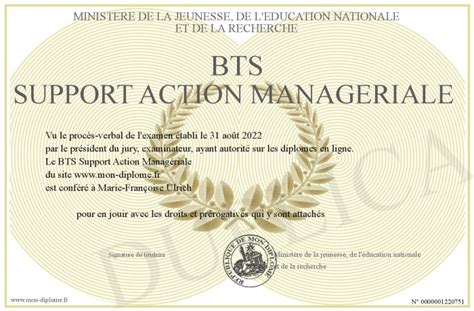 Bts Support Action Manageriale