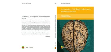 Anatomía y Fisiología del Sistema Nervioso Central A B Y uDocz