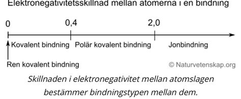 Elektronegativitets Skillnad Kemikemi 1 Pluggakuten