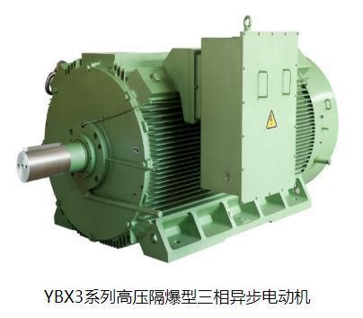 Ybx Series High Voltage Flameproof Three Phase Asynchronous Motor