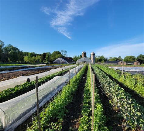 Hidden Acre Farm