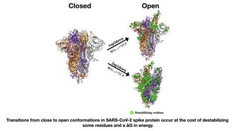 Materials Free Full Text Characterization Of Structural And