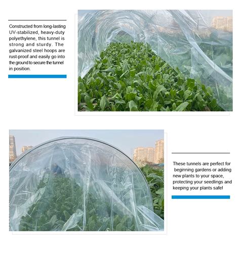 Outdoor Agricultural Garden Plastic Easy Poly Tunnel Grow Tunnel