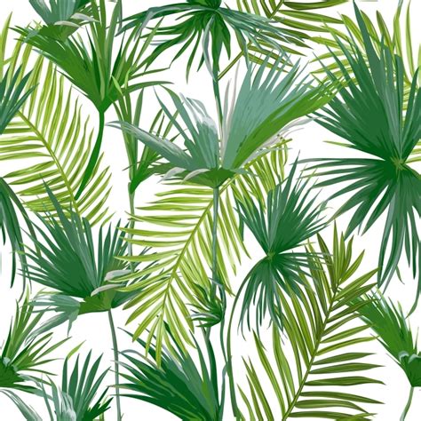 Papier Peint Feuilles De Palmier Tropical Pixers Fr