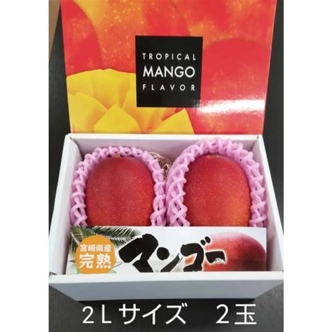 クール便 完熟マンゴー 2lサイズ 2玉入り 宮崎県産 マンゴー 化粧箱入り Mango 2l宮崎aoki青果 通販 Yahoo