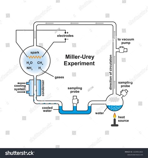 Scientific Designing Miller Urey Experiment Colorful Stock Vector ...