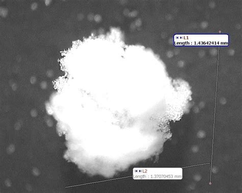 Photos Of A Hailstone Nucleus Grown In A Wind Tunnel Download Scientific Diagram