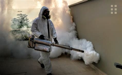 Grupo HISESA Fumigación y Manejo de plagas