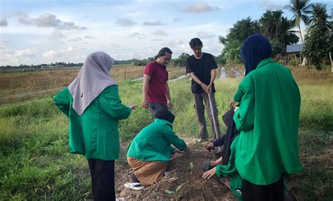 Unimalnews Mahasiswa Kkn Kelompok Manfaatkan Lahan Kosong Untuk