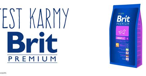 Był sobie york: Test karmy Brit Premium Small Breed