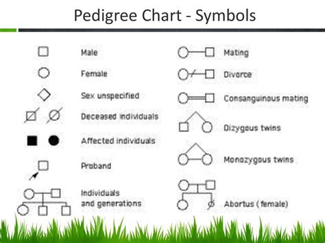 Pedigree Chart Symbols Used Labb By Ag