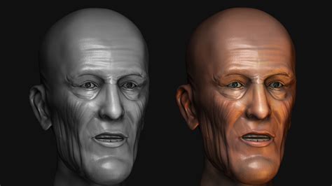 Artstation Realistic Skin Sculpt Human Face