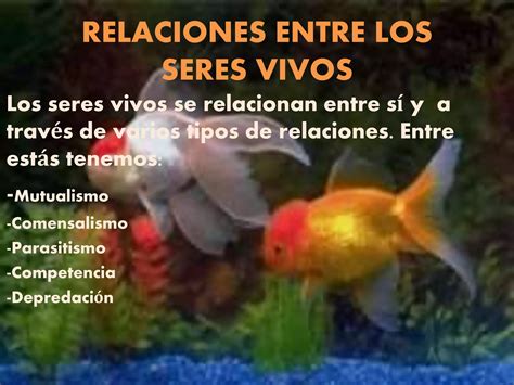 Relaciones Entre Seres Vivos Ppt