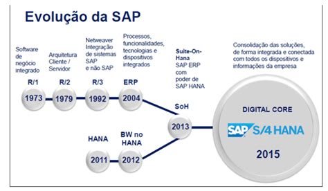 The Sap S4hana System And Digital Transformation