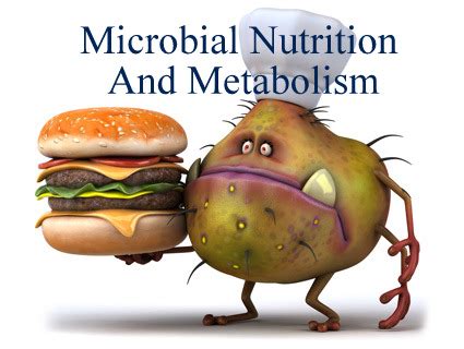 Microbial Nutrition And Microbial Metabolism Simplynotes