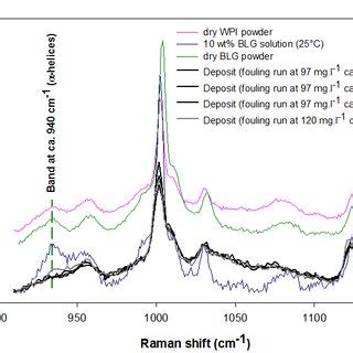 Spectra In The Amide Iii Region Cm Of Various Deposits As