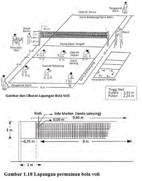 Gambar Dan Ukuran Lapangan Bola Voli Lengkap Jawaban Soalmu