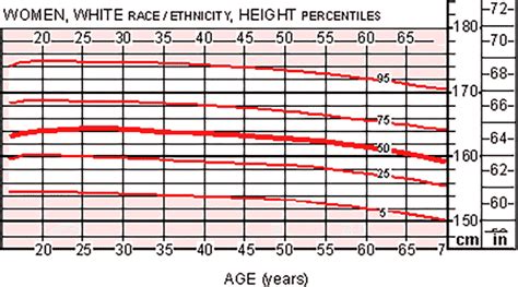 Exploring the Average Height of American Women: What You Need to Know - Hunter Games Magazine