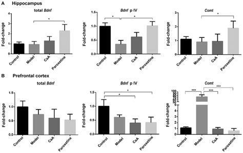 Gene expression levels of total Bdnf Bdnf p Ⅳ and Comt in the a