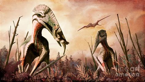 Hatzegopteryx Pterosaurs With Prey Photograph By Mark P Wittonscience