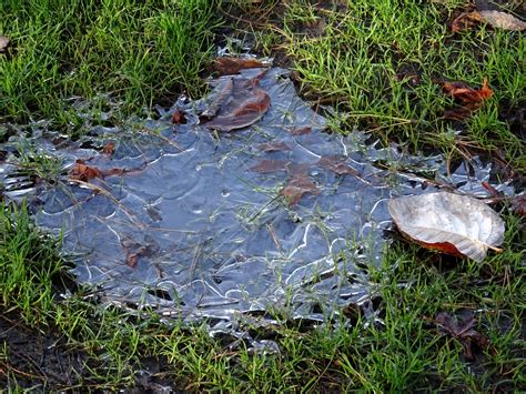 Puddle Turned To Ice Free Stock Photo - Public Domain Pictures