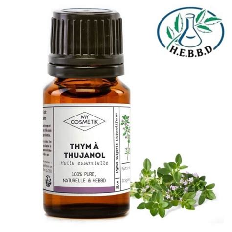 Huile essentielle de Thym à thujanol propriétés et utilisation