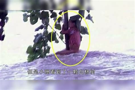 98年洪水中7岁女童抱树9小时被救，21年过去了她现在过得怎样？女童小时洪水