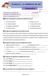 Compl Ment Du Nom Cm Exercice Valuation R Vision Le On Pdf