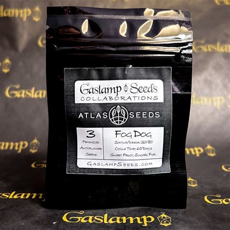 Atlas Seed Fog Dog 3 Feminized Autoflower Seeds Gaslamp Seeds