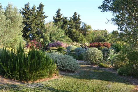 Botanical Dry Garden Un Jard N De Secano Bajo El Sol De La Toscana