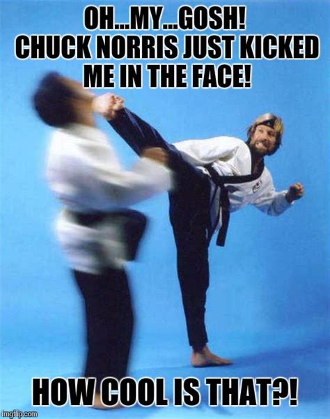 Roundhouse Kick Chuck Norris Imgflip