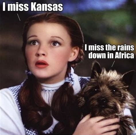 Wizard Of Oz Meme World Of Memes Pinterest Memes Dr Oz And Wizards