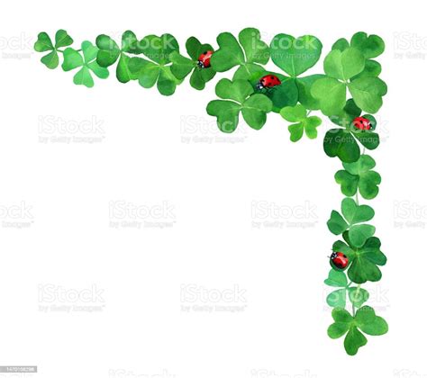 Watercolor Drawn Clover Grass Border Botany Composition With Four Leaves Green Clover Ladybugs