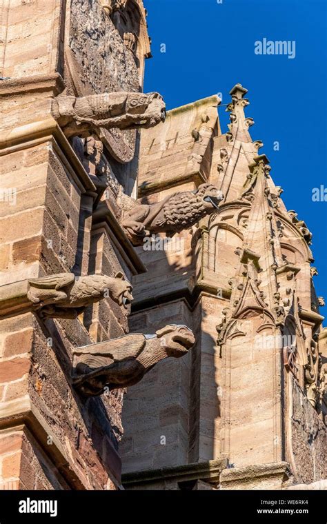 Francia Aveyron Rodez las gárgolas de la catedral de Notre Dame