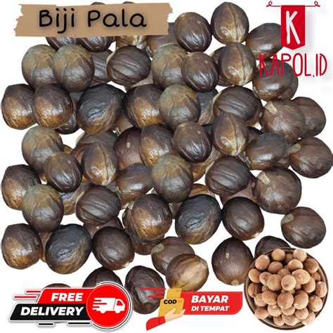 Jual Biji Pala Kering Biji Pala 100gr Shopee Indonesia