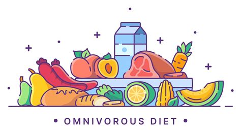 Omnivorous Diet Illustration