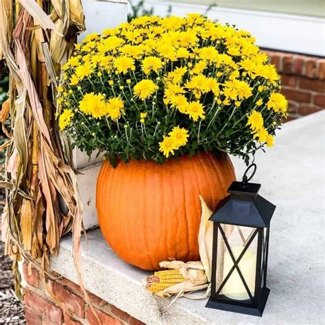 How To Make An Easy Diy Pumpkin Flower Arrangement Robyn S French Nest