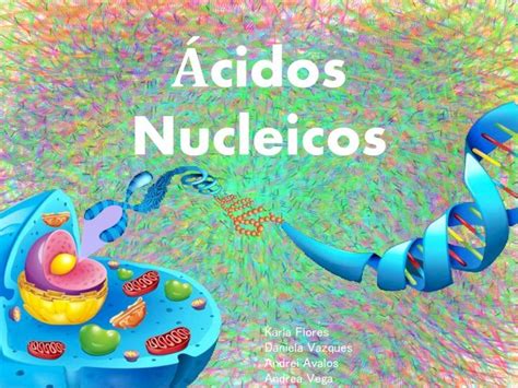 Pdf Que Son Los Acidos Nucleicos Dokumen Tips