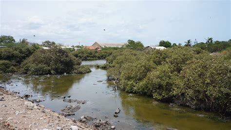 The Lives of the Salt Harvesters of Thoothukudi in a Warming World